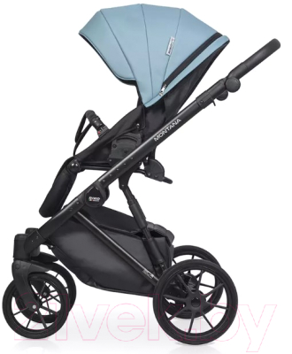 Изображение товара Детская универсальная коляска Riko Montana Ecco 2 в 1 (16, голубой)