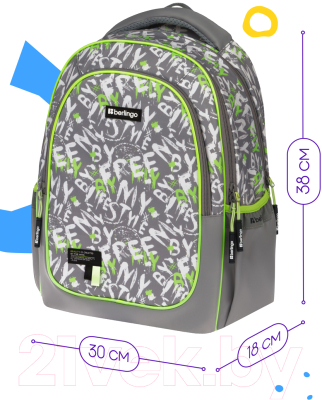 Школьный рюкзак Berlingo Modern Reality / RU09124
