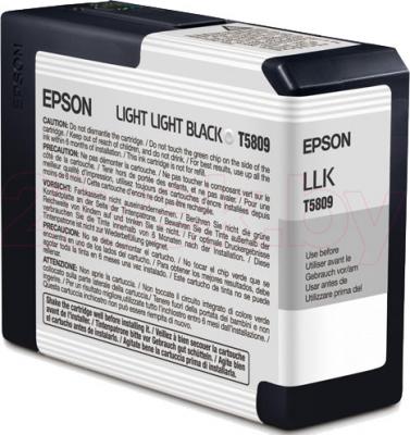 Картридж Epson C13T580900 - общий вид