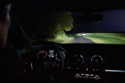 Изображение товара Комплект автомобильных ламп Philips 12972RVS2