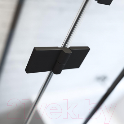 Душевая дверь Radaway Essenza New KDJ 100 / 385040-54-01L (черный)