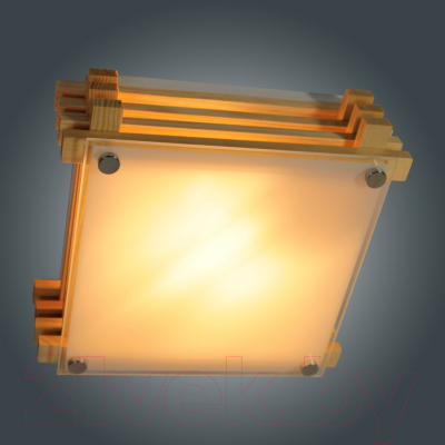 Потолочный светильник Элетех Киото НПБ 01-60-502 / 1005205976 (прозрачный матовый/сосна)