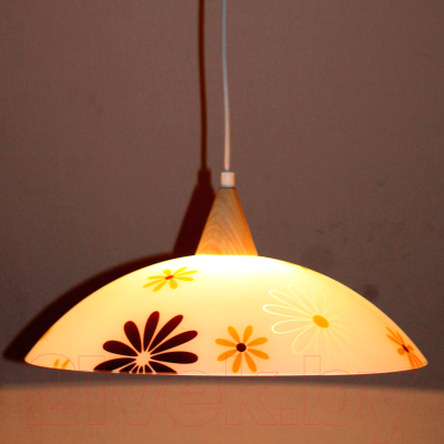 Потолочный светильник Элетех Колорика Арин 410 НСБ 72-60 М51 / 1005253175 (белый/коричневый/желтый)