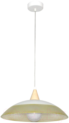 Потолочный светильник Элетех Колорика Клэр 410 НСБ 72-60 М51 / 1005253172 (матовый белый-салатовый)