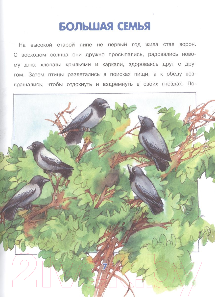 Художественная книга Харвест Приключения Карчика и его друзей (Боровская И., Боровский С.) — фото 4