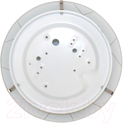 Потолочный светильник Элетех Контур 300 НПБ 01-2х60-139 М16 / 1005206056 (матовый белый)