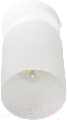 Потолочный светильник Элетех Крош 111 НПБ 01-60-104 Е27 / 1005404605 (белый муар)