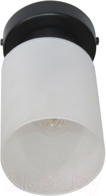 Потолочный светильник Элетех Крош 111 НПБ 01-60-104 Е27 / 1005404607 (черный муар)