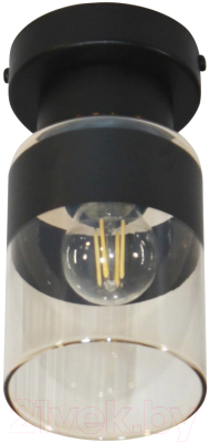 Потолочный светильник Элетех Крош 111 НПБ 01-60-104 Е27 / 1005404606 (черный муар)