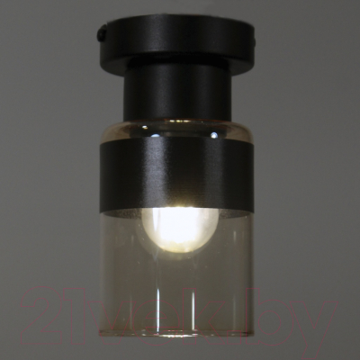 Потолочный светильник Элетех Крош 111 НПБ 01-60-104 Е27 / 1005404606 (черный муар)
