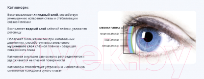 Капли для глаз Santen Катионорм (10мл)