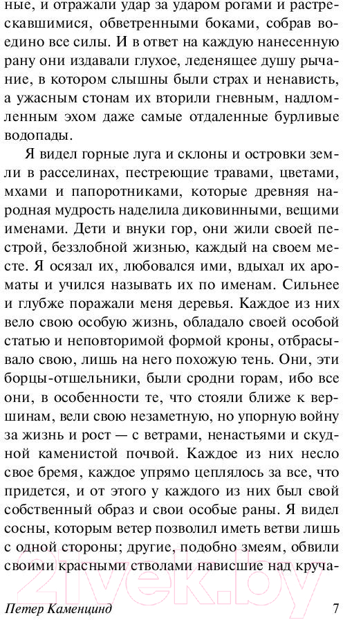 Художественная книга АСТ Петер Каменцинд (Гессе Г.) — фото 4