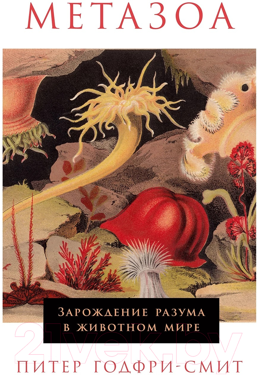 Нехудожественная книга Альпина Метазоа. Зарождение разума в животном мире (Годфри-Смит П.)