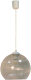 Потолочный светильник Элетех Люкс 250 НСБ 72-60 М50 / 1005404591 (прозрачный) - 