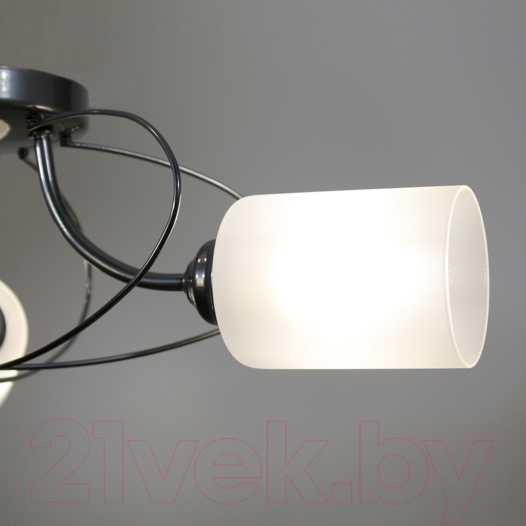 Люстра Элетех Орбиталь 161 НСБ 01-6х60-106 Е27 / 1005404584 (хром) — фото 6