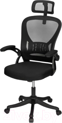 Кресло офисное Deli E4505 (черный)