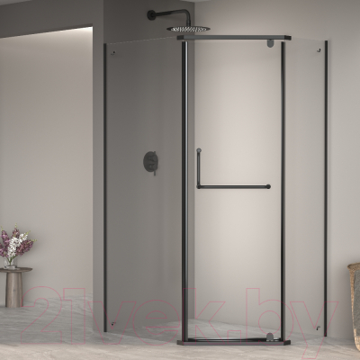 Изображение товара Душевой уголок RGW PA-091 / 35089182-14