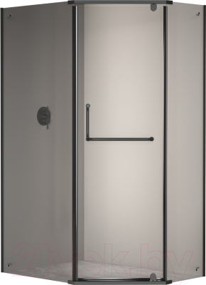 Изображение товара Душевой уголок RGW PA-091 / 35089182-14