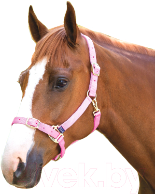 Недоуздок для лошади Shires COB 384B/PINK/COB (розовый)
