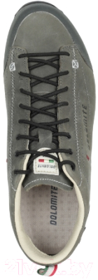 Трекинговые ботинки Dolomite 54 Low Fg Evo GTX Pewter / 292530-1181 (р-р 13, серый)