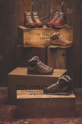 Трекинговые ботинки Dolomite 54 High Fg GTX Ermine / 247958-1399 (р-р 11, коричневый)