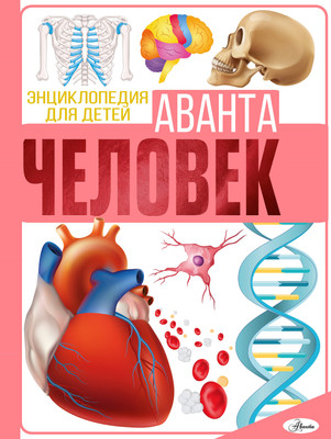 Энциклопедия АСТ Человек. Энциклопедия для детей (Гусев Е.В.) - 