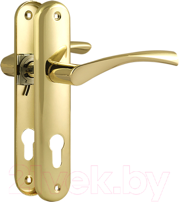Ручка дверная Нора-М 100-70 (золото)