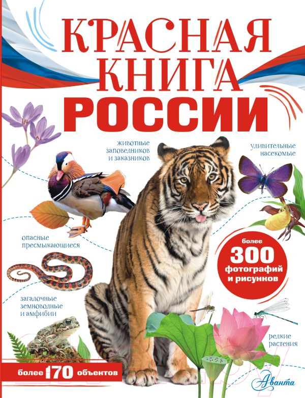 Нехудожественная книга АСТ Красная книга России. Моя Россия (Пескова И., Снегирева Е.)