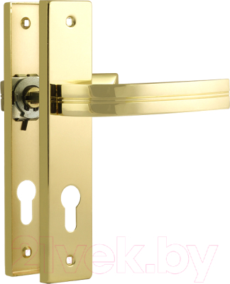Ручка дверная Нора-М 106-70 (золото)