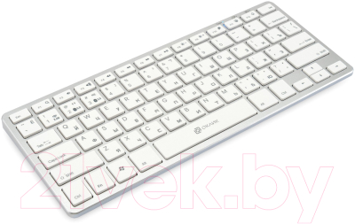 Клавиатура Oklick 855S (белый/серебристый)