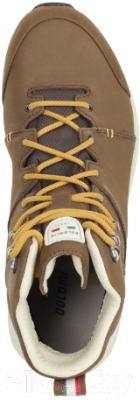 Трекинговые кроссовки Dolomite Braies High GTX 2.0 M's / 285633-0300 (р-р 9.5, темно-коричневый)