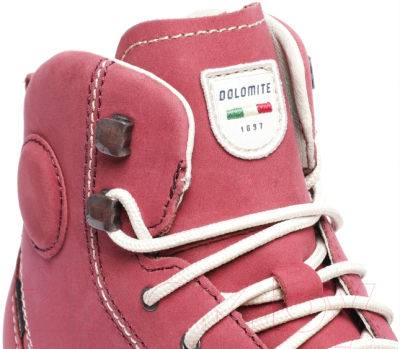 Трекинговые ботинки Dolomite W's 54 High Fg GTX / 268009-0910 (р-р 4, Burgundy Red)
