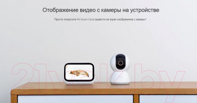 IP-камера Xiaomi Smart Camera C300 XMC01 / BHR6540GL