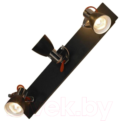 

Спот Lussole, Frontino LSL-7401-03