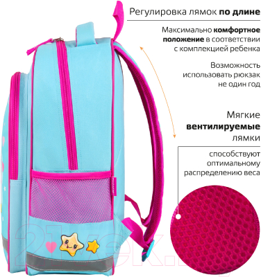 Школьный рюкзак Пифагор School. Smart penguin / 271403