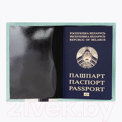 Обложка на паспорт Vokladki Буслы / 11060