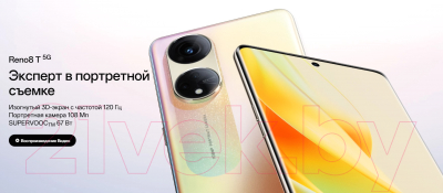 Смартфон OPPO Reno 8T 5G 8GB/256GB / CPH2505 (золото)