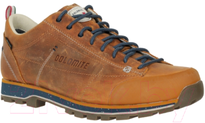 Трекинговые ботинки Dolomite 54 Low Fg Evo GTX / 292530-0922 (р-р 10.5, золотисто-желтый)