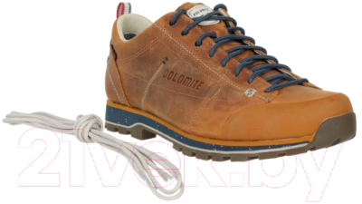 Трекинговые ботинки Dolomite 54 Low Fg Evo GTX / 292530-0922 (р-р 10.5, золотисто-желтый)