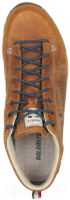 Трекинговые ботинки Dolomite 54 Low Fg Evo GTX / 292530-0922 (р-р 11, золотисто-желтый)