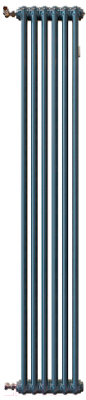 Радиатор стальной Arbonia RRN 2180/6 24 (RAL 7016, подключение слева-направо)