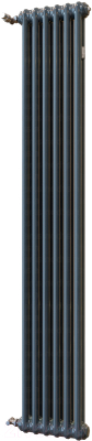 Радиатор стальной Arbonia RRN 2180/6 24 (RAL 7016, подключение слева-направо)