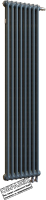 Радиатор стальной Arbonia RRN 2180/9 24 (RAL 7016, подключение слева-направо) - 