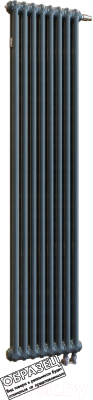 Радиатор стальной Arbonia RRN 2180/9 24 (RAL 7016, подключение слева-направо)