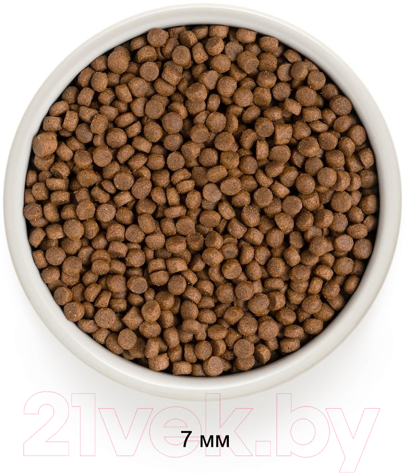 Сухой корм для кошек Grandorf Cat 4 Meat Probiotic Indoor (400г) — фото 3