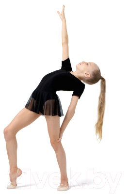 Купальник для художественной гимнастики Grace Dance 2620719 (р-р 30, черный)