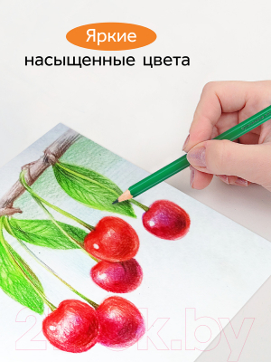 Изображение товара Набор цветных карандашей ГАММА Оранжевое солнце / 260220211 (18цв)