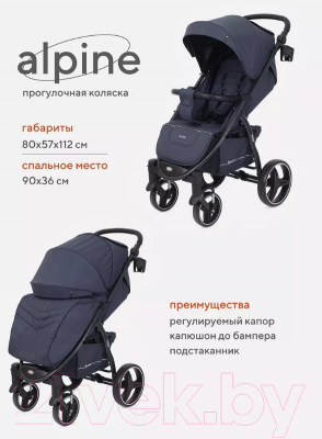 Детская прогулочная коляска Rant Alpine / RA450 (Graphite)