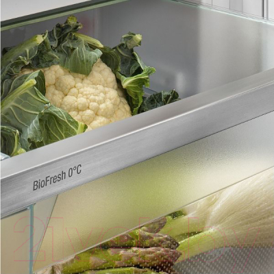 Холодильник без морозильника Liebherr SRBsfe 5220