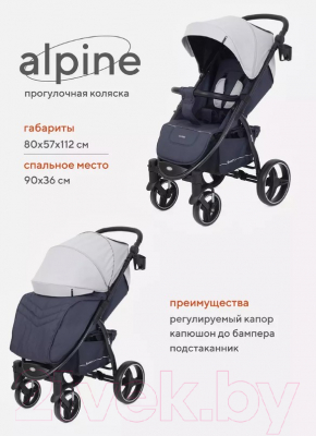 Детская прогулочная коляска Rant Alpine / RA450 (Grey)